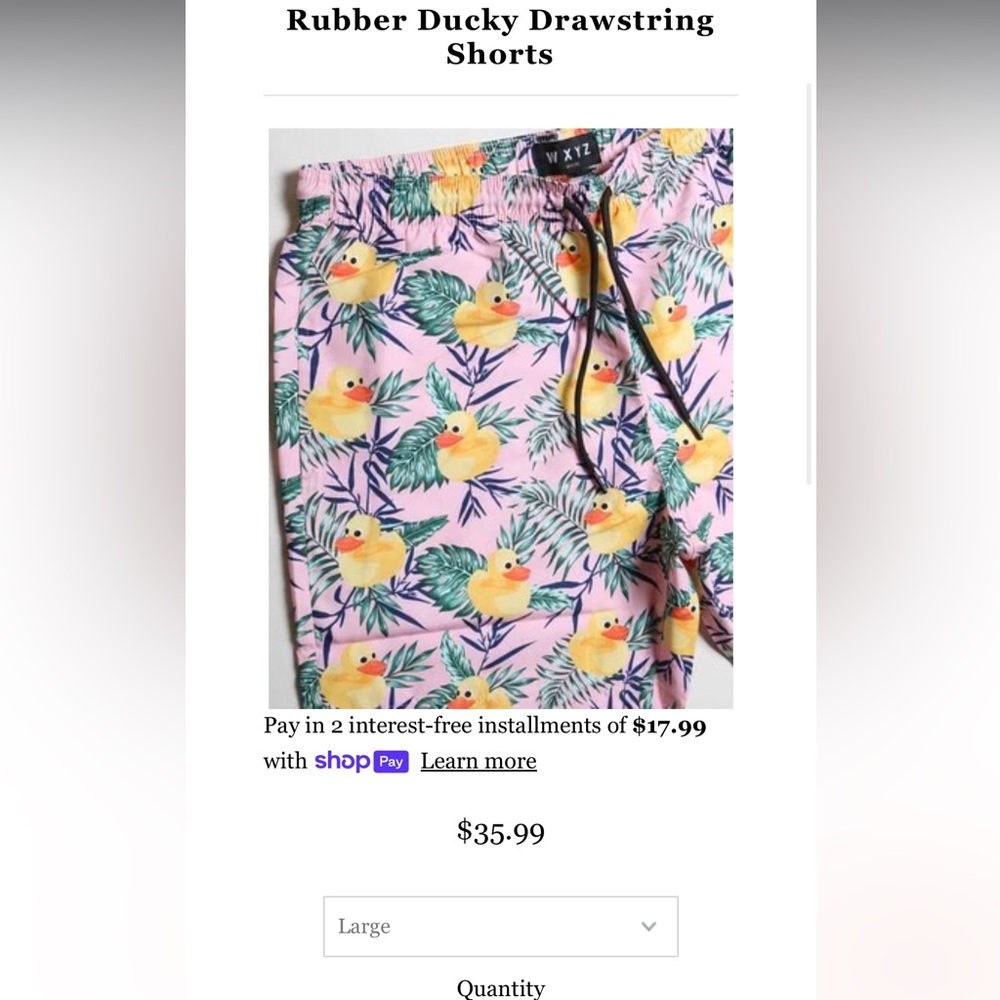 NWT wyxz rubber ducky men’s swim shorts size Large